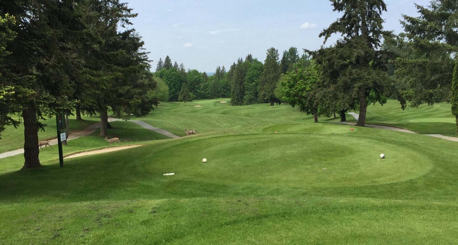RBC Canadian Open regional qualifying gets underway Tuesday at