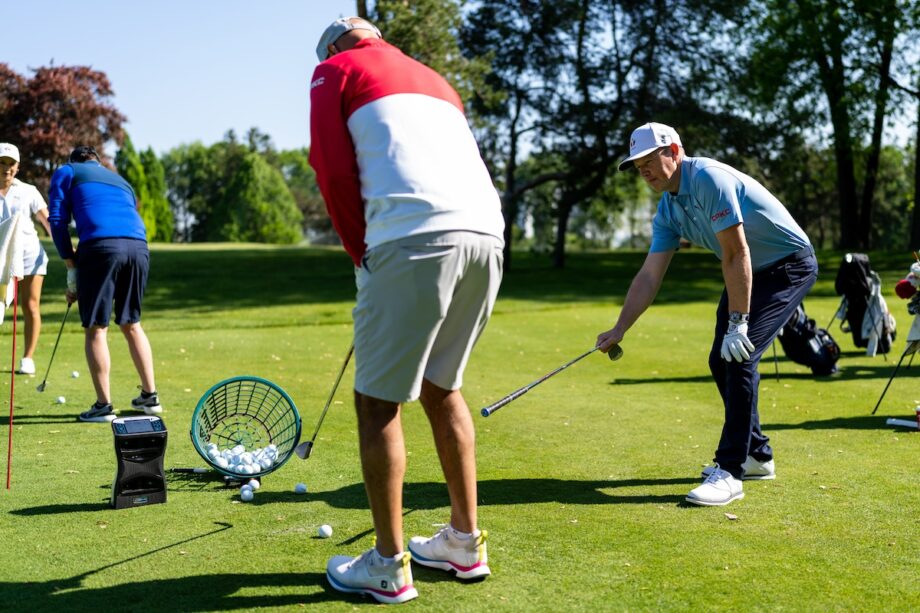 temp alt for theme membership