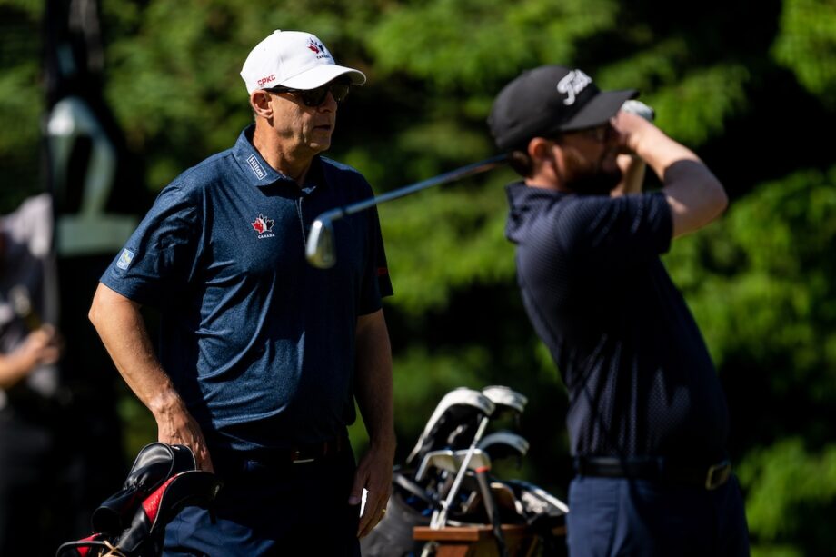 temp alt for theme membership