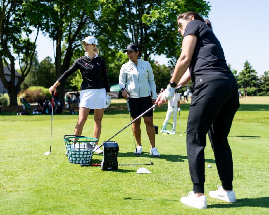 temp alt for theme membership