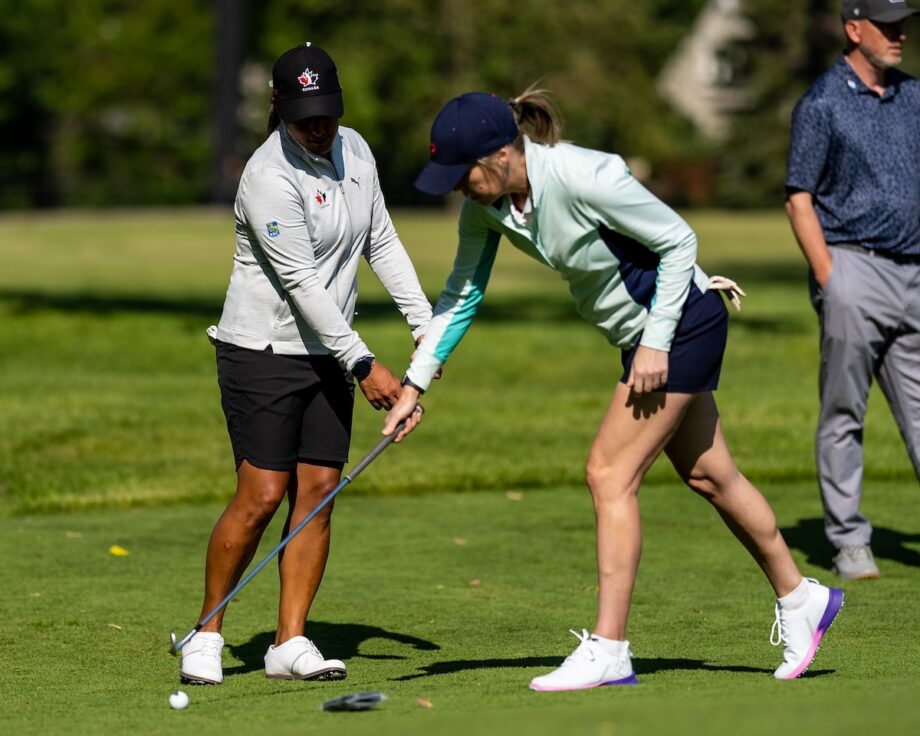 temp alt for theme membership