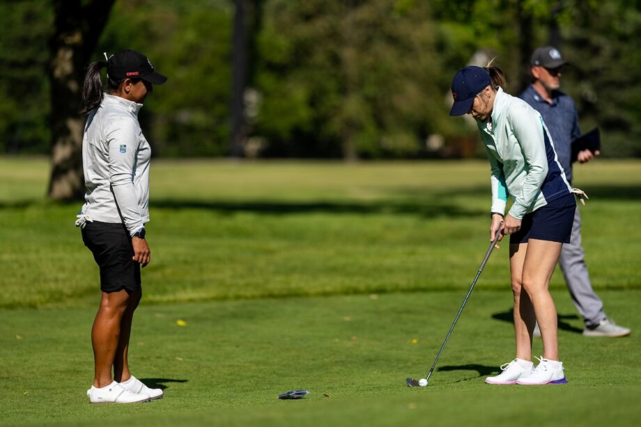 temp alt for theme membership