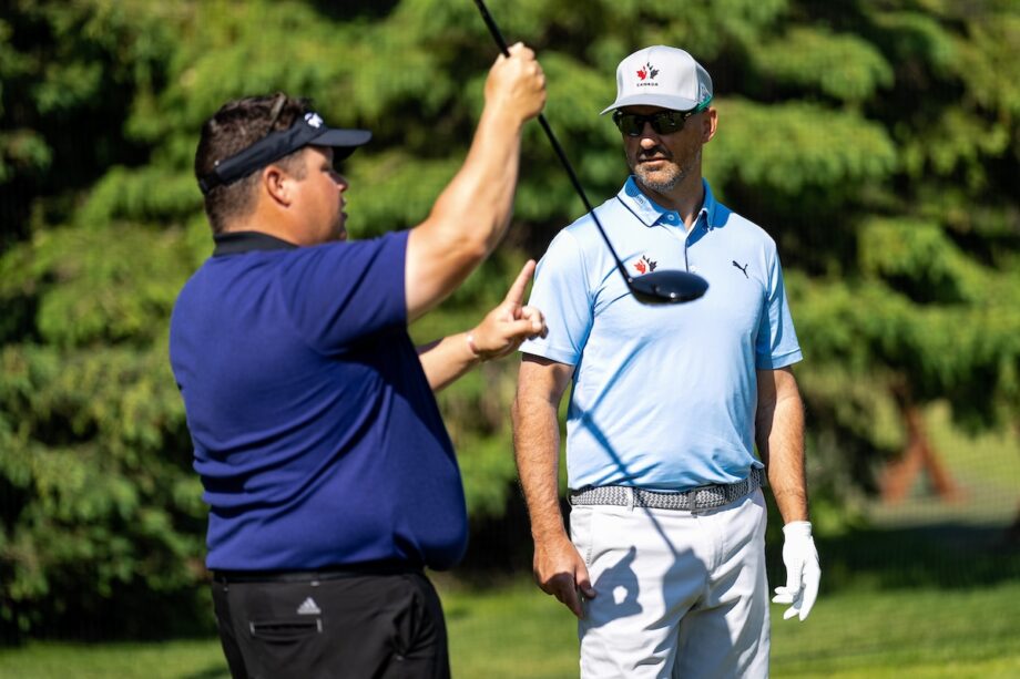 temp alt for theme membership