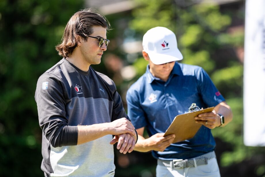 temp alt for theme membership