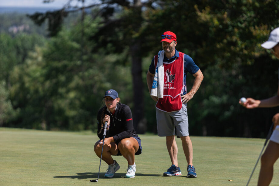 temp alt for theme membership