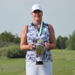 temp alt for theme list items