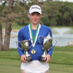 temp alt for theme list items