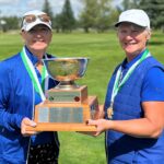 temp alt for theme list items