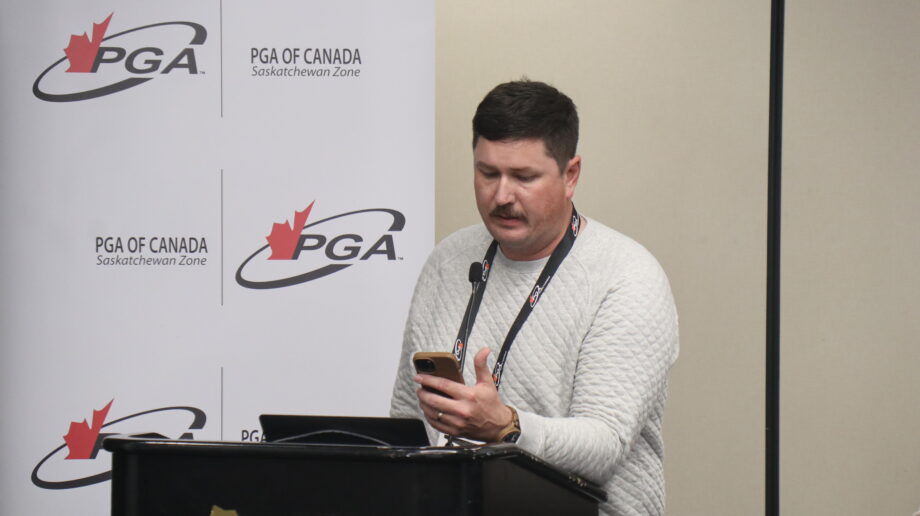 temp alt from theme latest posts