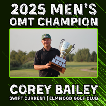 temp alt for theme iandt