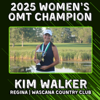 temp alt for theme iandt