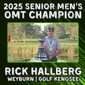 temp alt for theme iandt