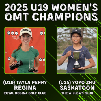 temp alt for theme iandt