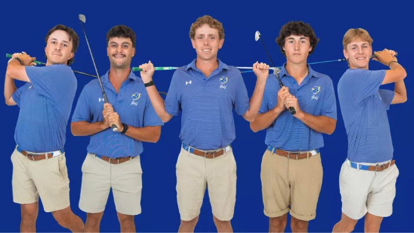 temp alt from theme latest posts