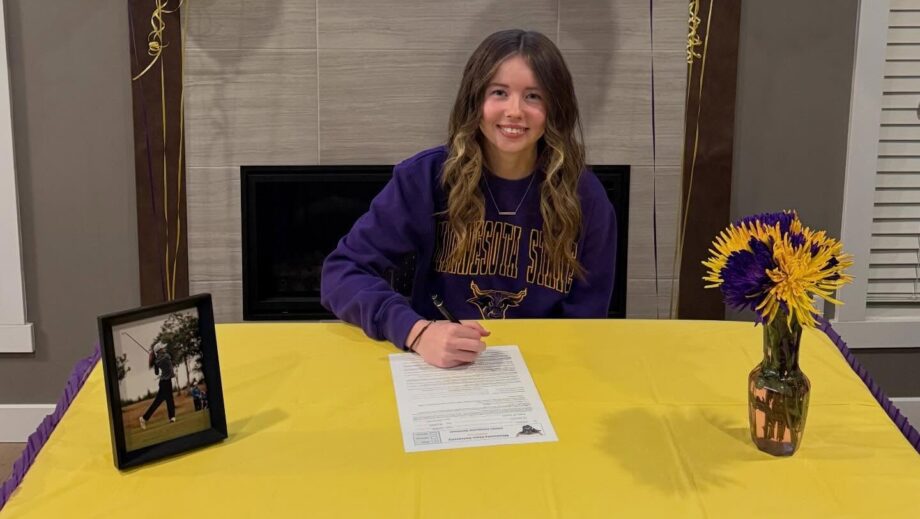 temp alt from theme latest posts