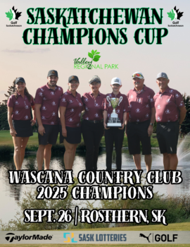 temp alt for theme iandt