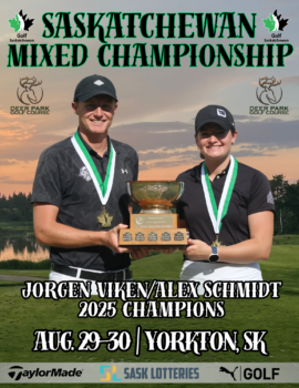 temp alt for theme iandt