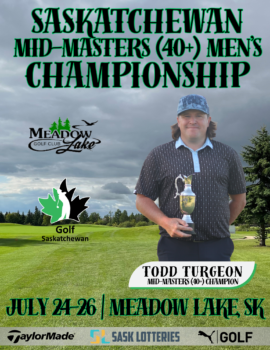 temp alt for theme iandt