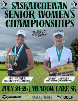 temp alt for theme iandt