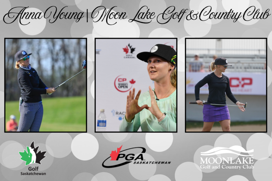 temp alt from theme latest posts