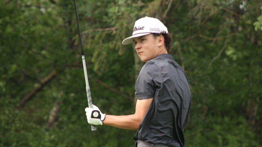 temp alt from theme latest posts